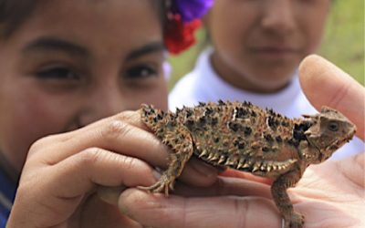 Beneficios de los animales de compañía en el desarrollo de niñas y niños.