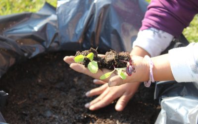 8 claves para ayudar a mejorar el medio ambiente