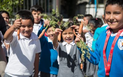8 claves para una vida y nutrición saludables