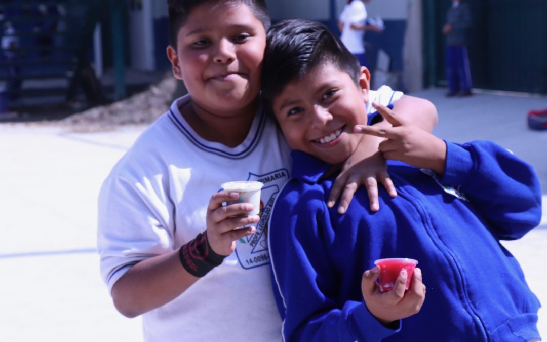 Estrategia Nacional para Promover Trayectorias Educativas y Mejorar los Aprendizajes de los Estudiantes de Educación Básica: SEP