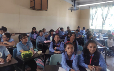 El tabú social: la sexualidad infantil