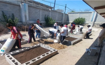 Proyectos de Jardinería Escolar: Ideas y Beneficios
