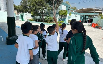 Clínica en Derecho y Política Pública ITAM: Nuevo Plan de Estudios (2)
