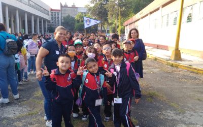 Acciones de gobierno y política pública en materia educativa durante el Sexenio 2018 – 2024